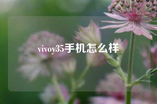 vivoy35手机怎么样